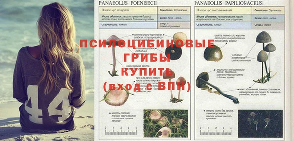 spice Белоозёрский
