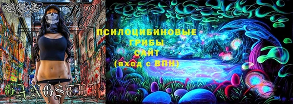 кокаин Белокуриха